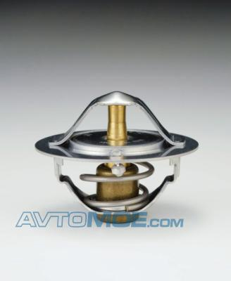 Термостат W54E82B Tama (фото №1)